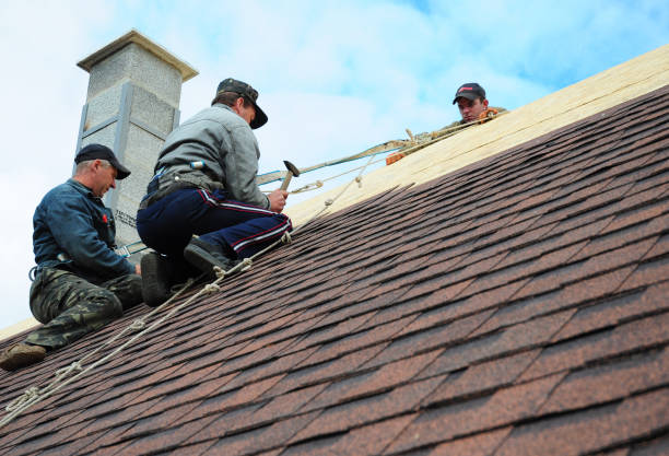 Best Storm Damage Roof Repair  in Anthony, TX